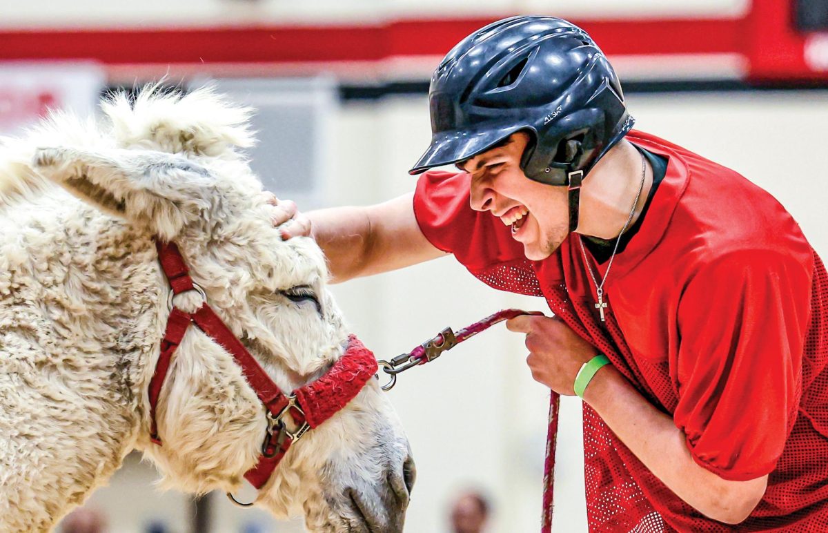 News Photo, Superior: NEVER TOO LATE. Evan Underwood (12) celebrates after seniors won donkey basketball on Feb. 2. He scored the winning basket for the seniors against the Moorehead Junior High staff after missing playing for the school’s team. "I left the team because I felt like it wasn't the direction my life needed to go at that point, so I didn't want to take the time away from the other players who did feel convicted to keep playing," Underwood said. "I missed basketball and I never rode a donkey before, so I wanted to combine  both and see what happens. It was a lot of fun."